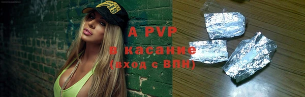 гашик Алексин