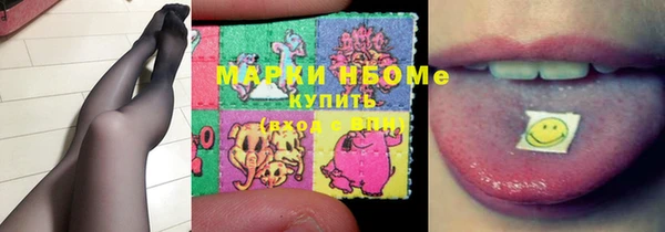 гашик Алексин