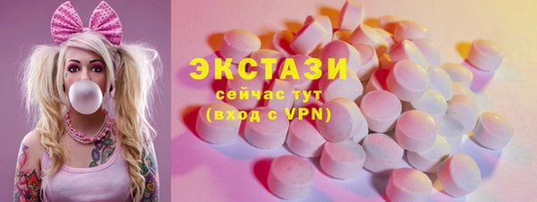 гашик Алексин