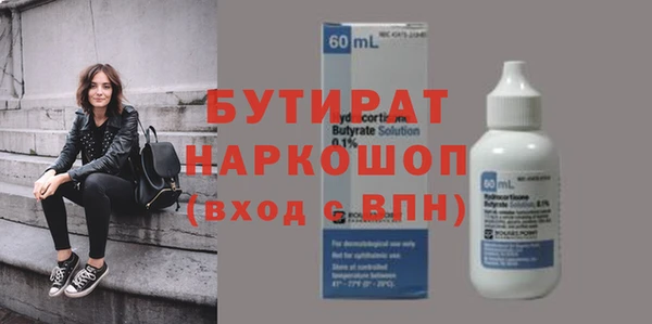 гашик Алексин