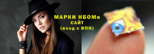 гашик Алексин