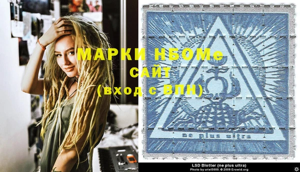 PSILOCYBIN Алзамай