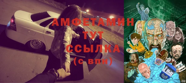PSILOCYBIN Алзамай