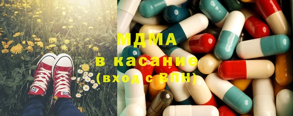 гашик Алексин